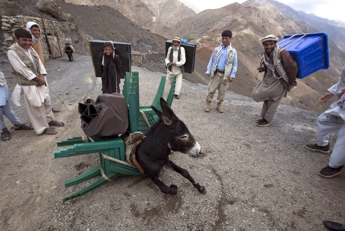 job posting junior schlepper image for Honest Job Posting: Extremely Junior Generic Schlepper That Will Likely Soon Be Reassigned or Fired