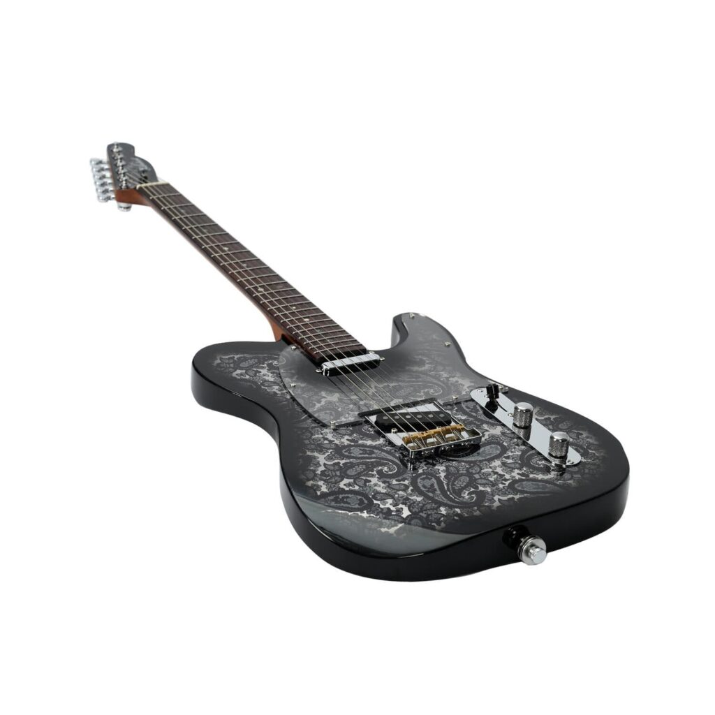 Artist AT73 Black Paisley