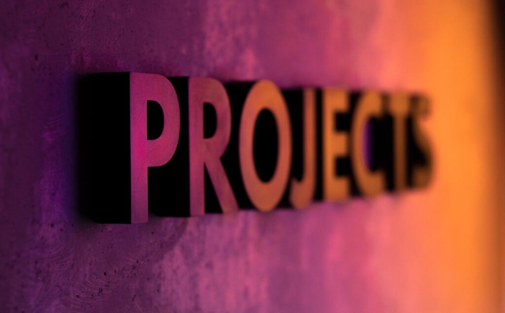 Programme Manager vs Project Manager
